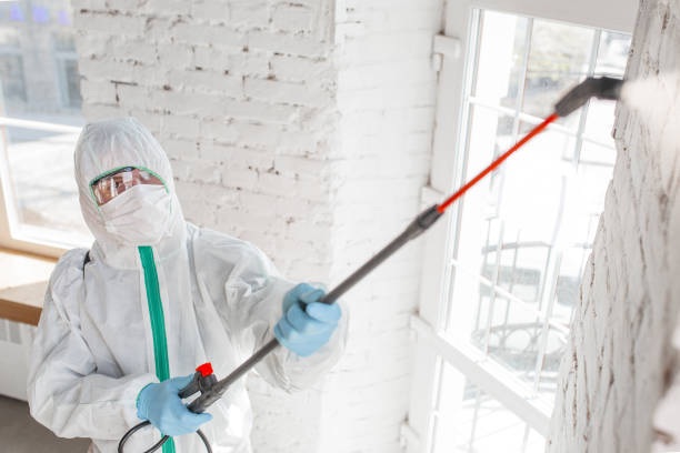 Best Mold Prevention Services  in Cordes Lakes, AZ