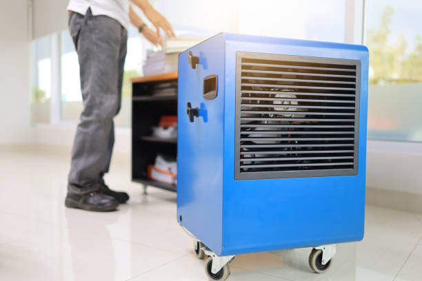 Professional Mold Removal in Cordes Lakes, AZ